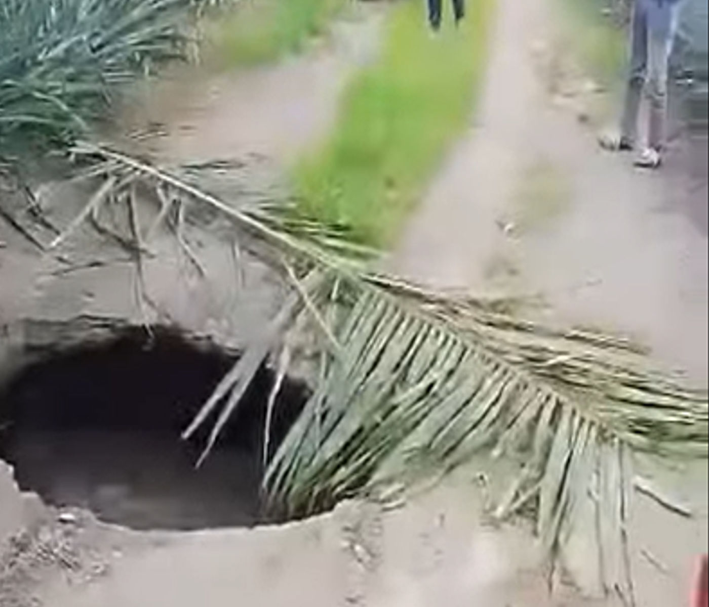 Look: Sinkhole emerges in pineapple plantation in Surallah, raising safety concerns